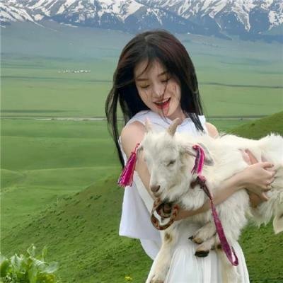 噗咙共鲜师2